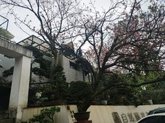 -南山植物园