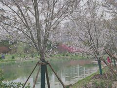 -堤角公园