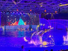-海合安青岛极地海洋公园