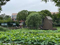 -美兰湖景区