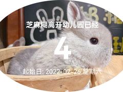 -猫猫幼稚园·撸猫·桌游·电玩