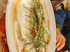 -姑苏家宴·苏帮菜·松鼠桂鱼(苏州总店)