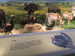 -长江文明馆