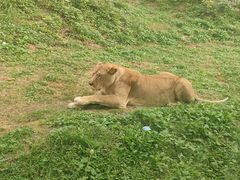 -石家庄市动物园