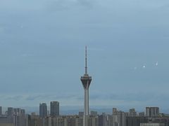 -富力丽思卡尔顿酒店·丽轩中餐厅