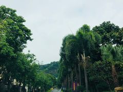 -茗荔园农庄(大涌店)