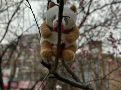 -栾川竹海野生动物园