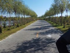 -呼兰河口湿地公园