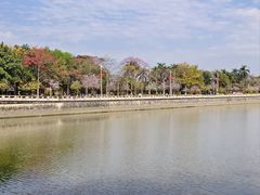 -长洲岛