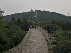 -原山国家森林公园