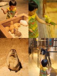 -酷嗒动物文化乐园(cutezoo西溪乐天城店)