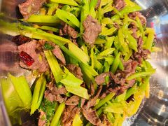 -兰州陈记牛肉面 ·烧烤· 铜锅涮肉(万达店)