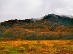 -神农架景区