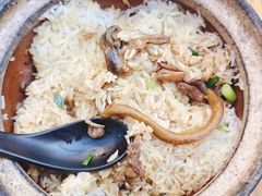 -文记煲仔饭