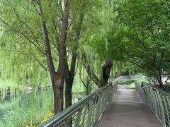 -鲍鱼王子(深圳大厦店)