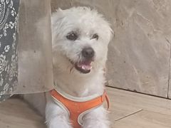 -鸡脚旮旯平江路店