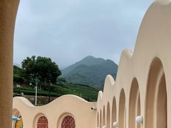 -龙坞茶村