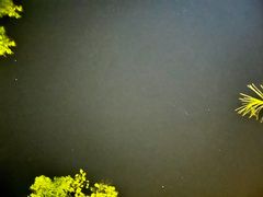 -广州都喜泰丽温泉度假酒店