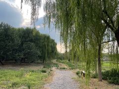 -西青郊野公园