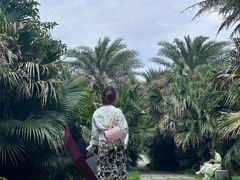 -瑶湖郊野森林公园