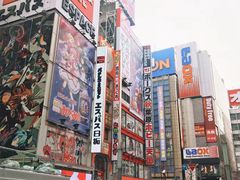-秋叶原电器街