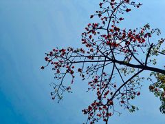-晓港公园