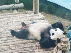 -大连森林动物园