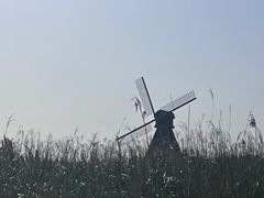 -宁波杭州湾国家湿地公园