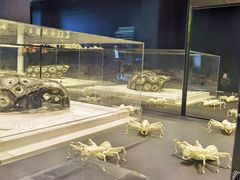 -现代汽车文化中心 Hyundai Motorstudio Beijing