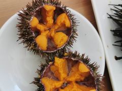 马粪海胆-海胆小馆(东北水饺·春柳店)