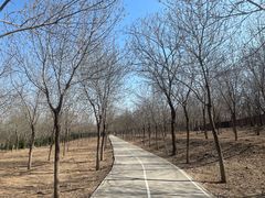 -云岗森林公园