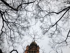 -上海佘山国家森林公园西佘山园