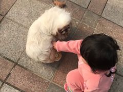 -怪坡茶馆