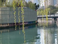 -成都市活水公园