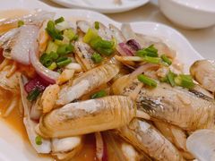 蛏子-华盛丰温州大排档(东三环南路店)