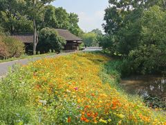 -西溪国家湿地公园