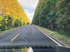 -黄海国家森林公园