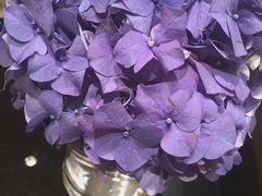 -澳门十六浦索菲特大酒店