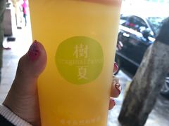 -树夏(建设路店)