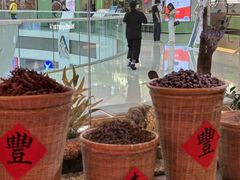 -北李妈妈菜·海肠捞饭(高新万达店)