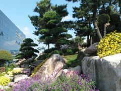 -南通洲际绿博园