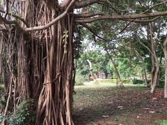 -白沙门生态公园