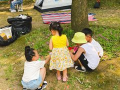 -上海月湖雕塑公园