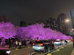 -西北湖绿化广场