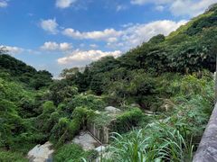 -阳台山森林公园