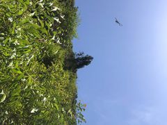 -山西通天峡景区