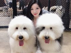 -TrueLove @ Neverland (Husky Cafe)