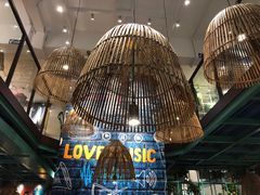 -浩源美食·椰子鸡