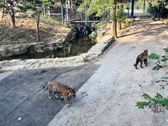 -大连森林动物园