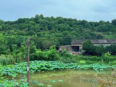 -东钱湖旅游度假区